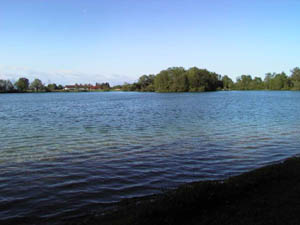 Waldschwaigsee1.jpg