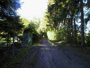 Weg zum See.jpg