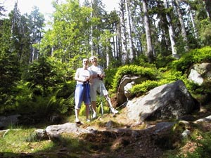 Wald 3.jpg
